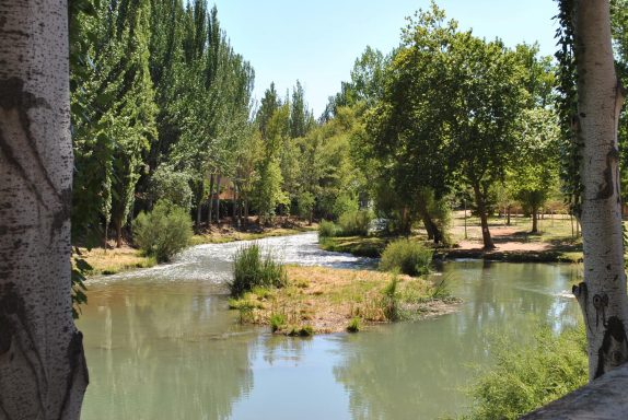 Tajo